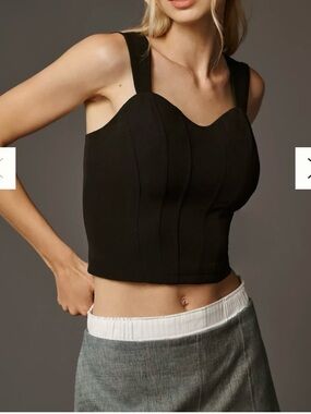 Anthropology Sunday in Brooklyn Ponte Corset Top 1X
